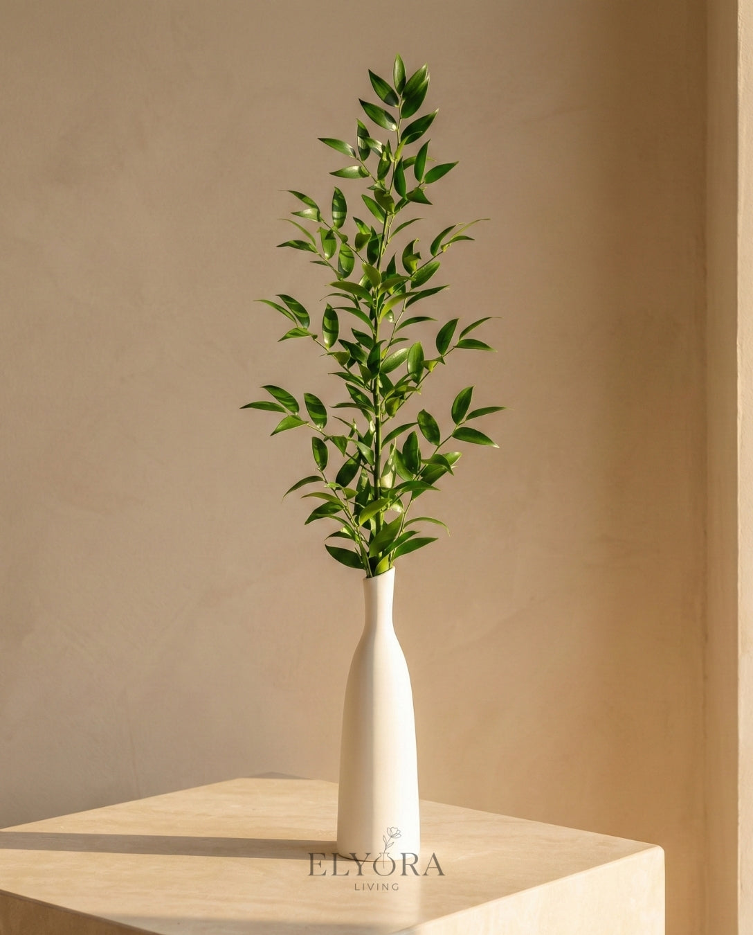 The Slope Silhouette